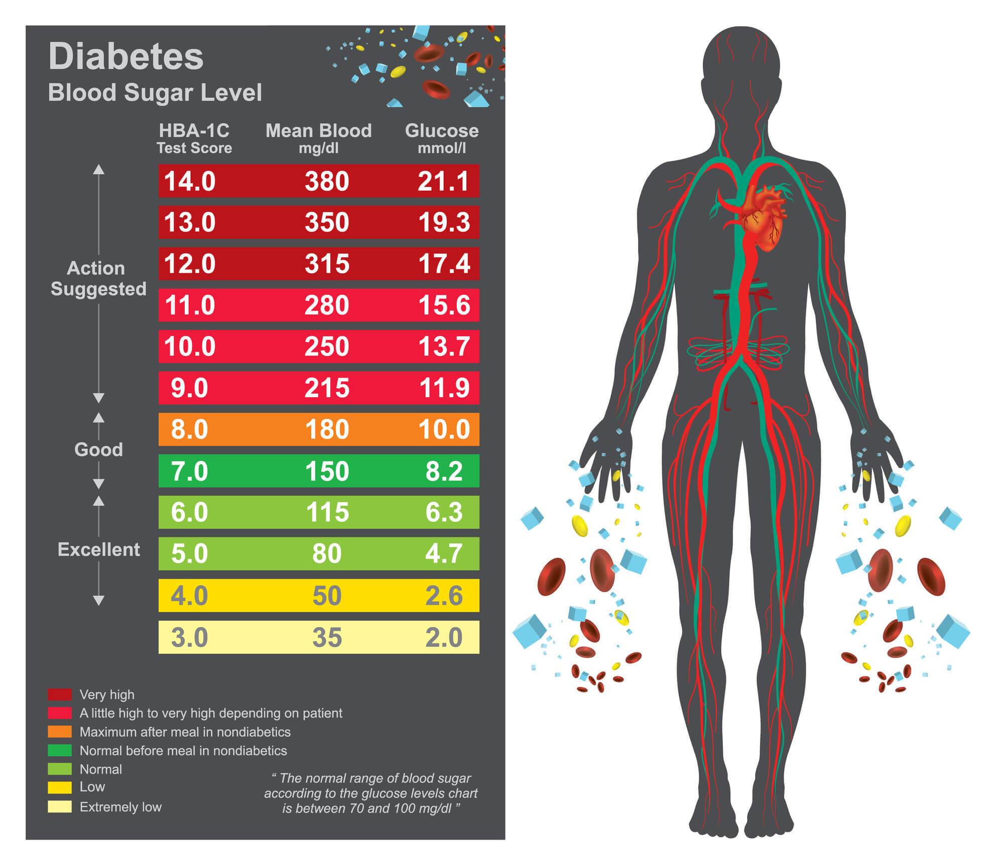 diabetest specialist chart