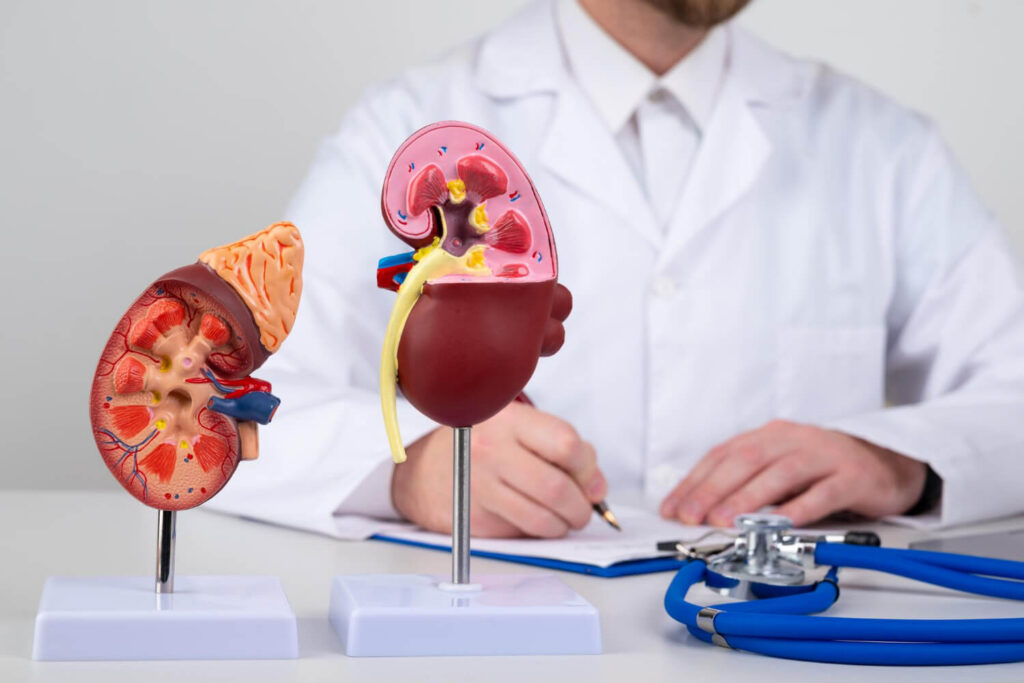 Diabetic Nephropathy: Kidney Condition and Progression