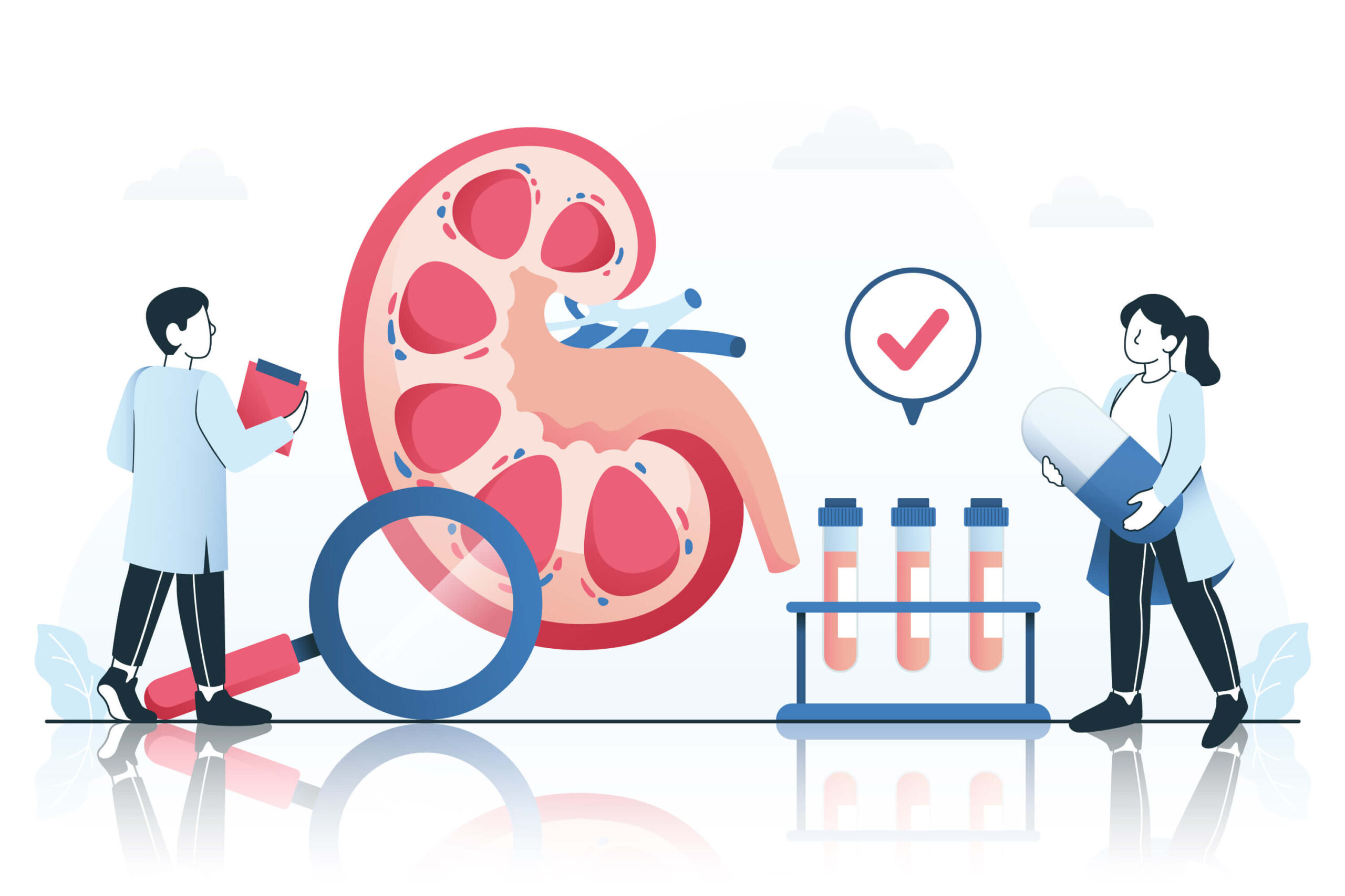 Diabetic Nephropathy Kidney Condition and Progression