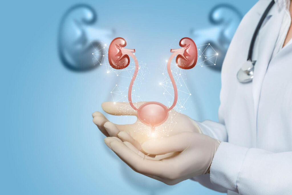 kidney stone removal | urinary system