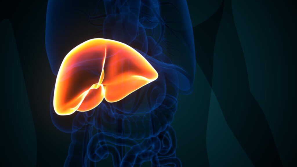 liver infection