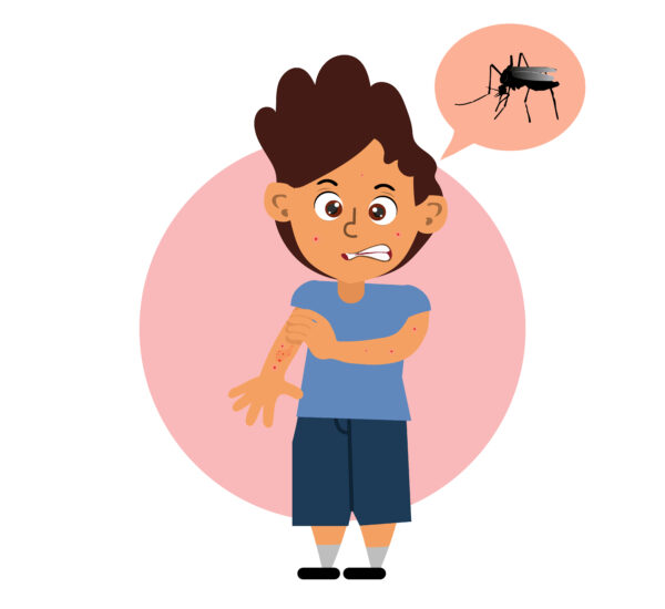 dengue hemorrhagic fever