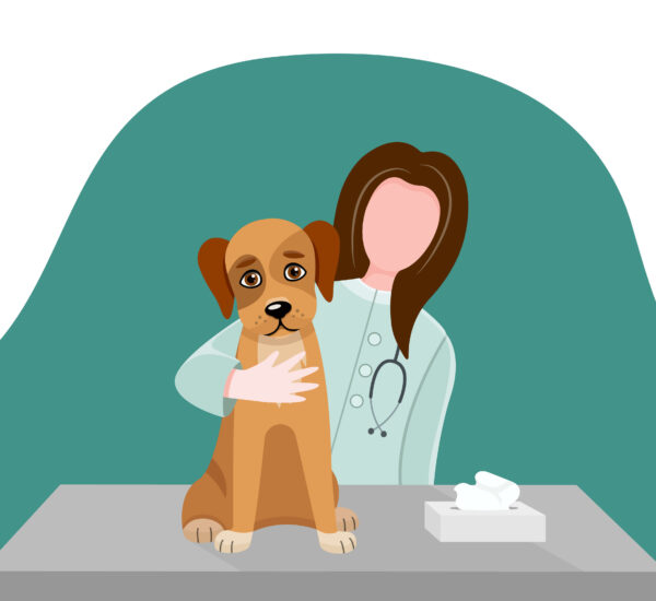 anemia in dogs