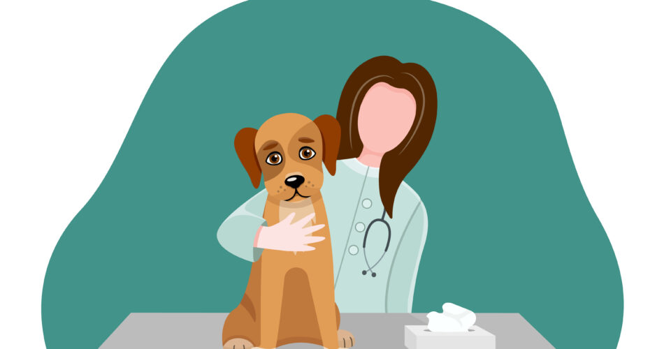 anemia in dogs