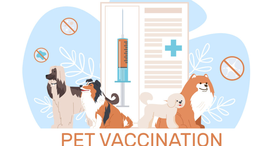 rabies vaccine