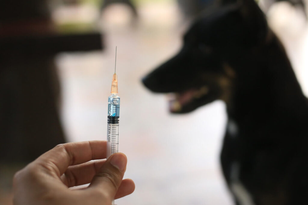 rabies vaccine for pets