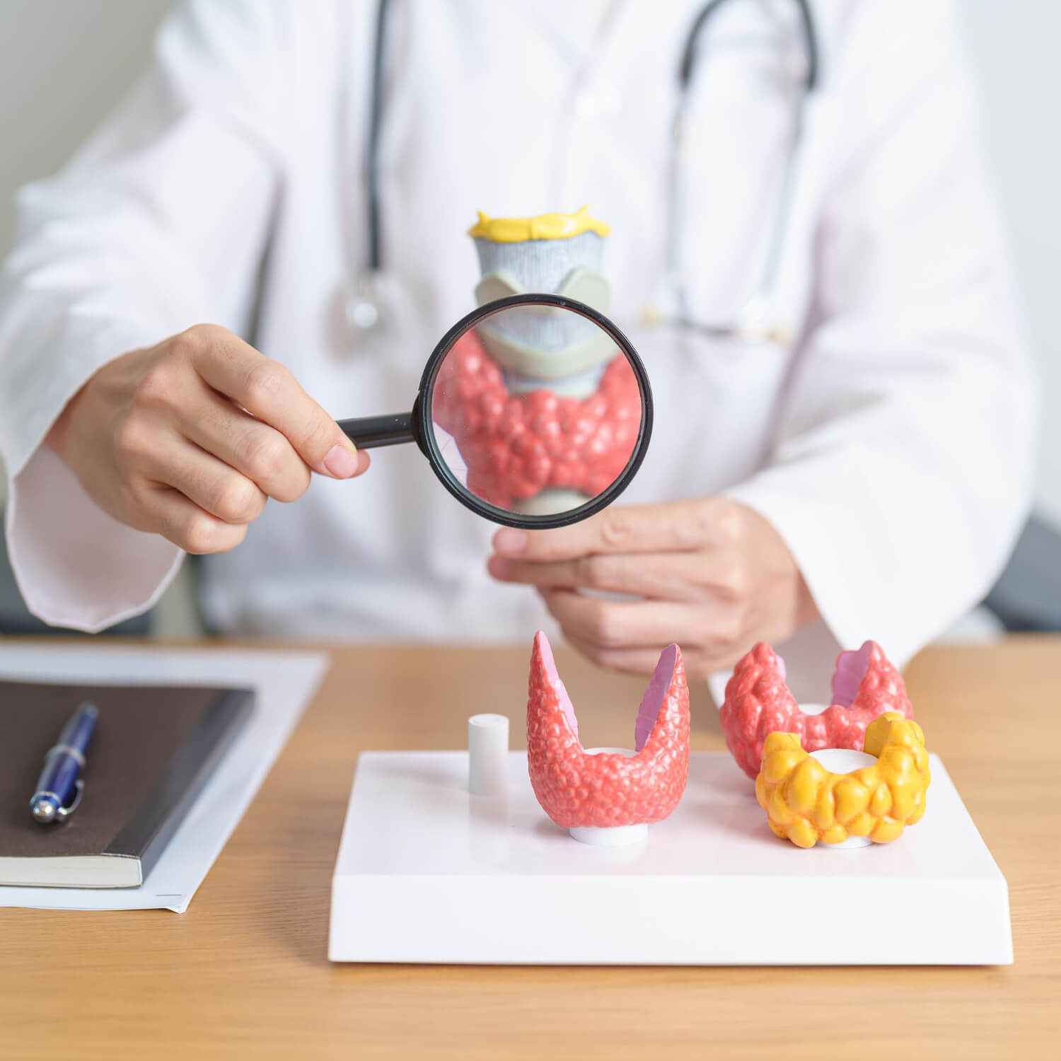 hyperthyroid condition or overactive gland