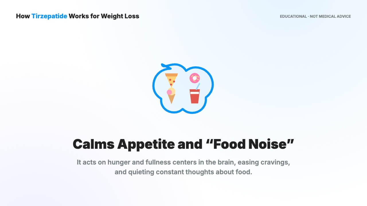 calms food noise