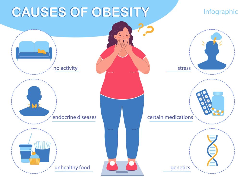 obesity causes